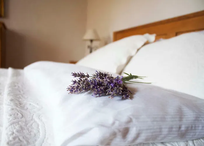 度假居 Sweet Vendeghaz