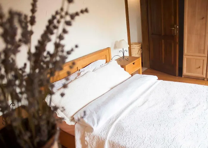 Sweet Vendeghaz 根尼斯迪亚斯